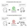 使用 HTTPS 的网站也能被黑客监听到数据吗？