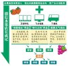 三个85后微信朋友圈卖水果赚爆了