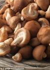 蘑菇中发现能预防宫颈癌的物质