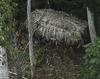 Uncontacted Tribe In The Amazon See An Airplane For The First Time